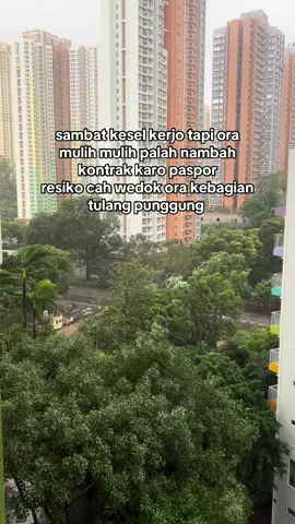 MUNG KEBAGIAN TYPHOON E🫩