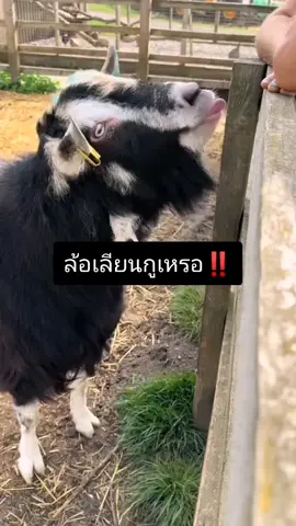 โดนเข้าให้55555​😂​