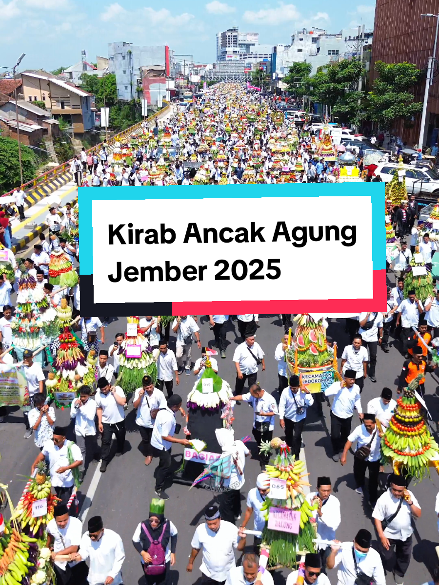 Kirab Ancak Agung Jember 2025 Sebanyak 500 Ancak | Memperingati Maulid Nabi Muhammad SAW #kirabancak #jember #jembertiktok #maulidnabi #kirabancakagung 