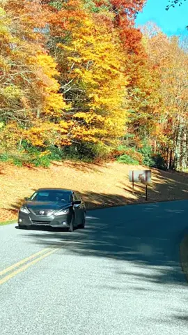 #northcarolina 🍂🧡🍁