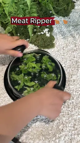 #cooking #kitchenhacks #kitchengadgets#tiktok#spotlightfinds #TikTokShop#coolgadgets #party #trending #giftsforhim #giftsforher#gadge#dealsforyoudays #tiktokshopcreatorpicks#parati#fyp #tiktokshop #tiktokmademebuyit#tiktokfinds #tiktokfinds2025#cosasquemegustan #otoño#tiktok#TikTokShopRestock
