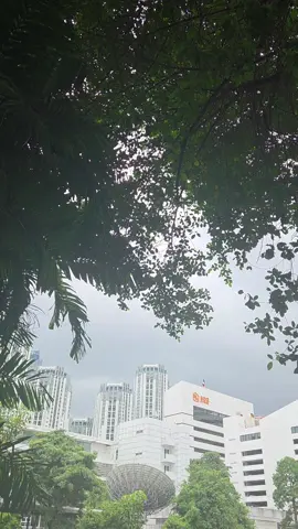 #ฝนตก #คนเหงา #เทรนวันนี้ 