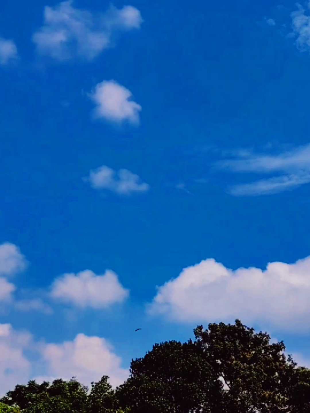 তোমাকে খুজে পাই ওই নীল আকাশে..🌿💥#sun #weather #viral @omeronfire 