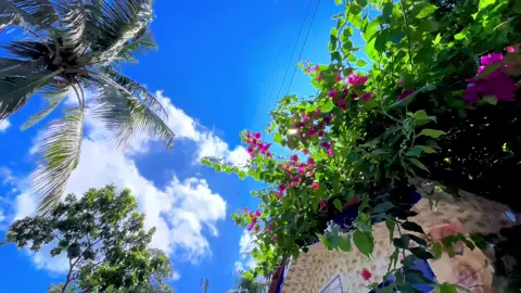 মনেরই ছবিটাই দেখি যে তোমায় #viral #fyp #natural #foryoupage 