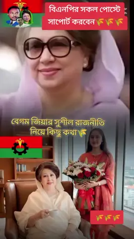 বেগম জিয়ার সুশীল রাজনীতি নিয়ে কিছু কথা #creatorsearchinsights #foryou #bnp #bnp🌾team #foryoupage @Bangladesh National Party @For You @For You House ⍟ 