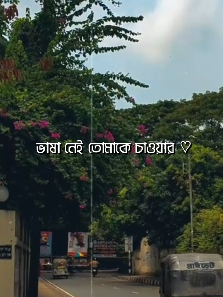 - আর কোনো অধিকার নেই আমার ❤️‍🩹 - আর কোনো দাবি নেই 🥀 #lyrics_songs #lyricsvideo #lyrics #lyrics_nayem_890 #foryou 