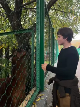 твои глаза #твоиглаза 