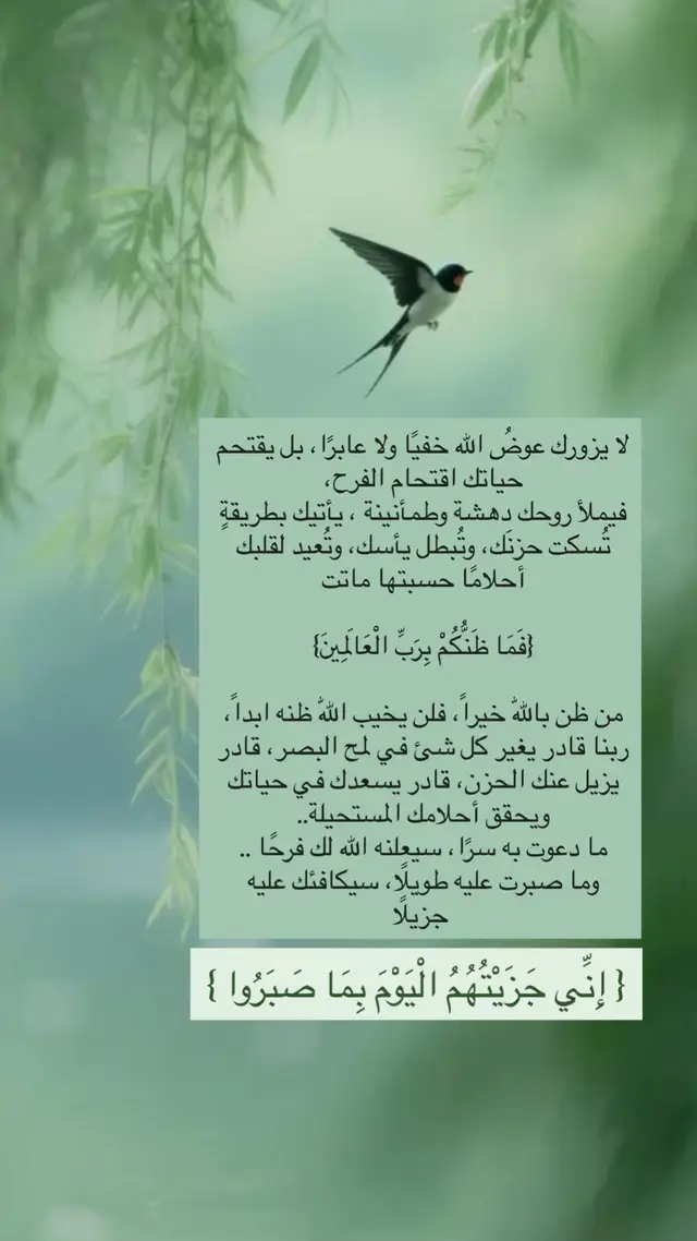 #اكسبلور #صباح_الخير #explor #اليقين_بالله_يصنع_العجائب #fyp 