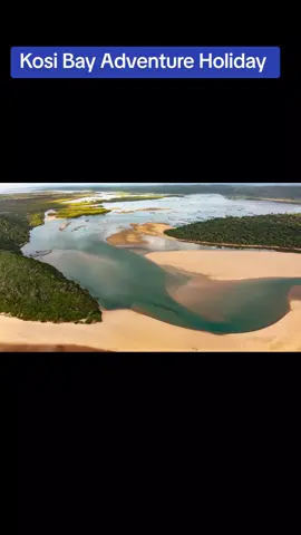 Kosi Bay adventure holiday  Northern KwaZulu-Natal  South Africa  🌴Are you ready for an adventure of a life time? 🔴Explore the Diversity of Kosi Bay - Pristine beaches with crystal-clear waters 🌊 - Turtle Tours: witness Loggerhead and Leatherback turtles nesting 🐢 - Birders Paradise: spot over 300 species of birds in the wetlands and forests 🦅 - Tembe Elephant Park: home to the Big 5 game reserve 🦁 - Kosi Bay Lake System: explore the stunning lakes and reed channels 🚣‍♀️ - Kosi Bay border post is only 17km away, for those who want to go for a day trip to Ponta do Ouro and Ponta Malongane -Mozambique. to swim with Dolphins or go pub and restaurant hopping. 🚙What vehicle do you need to explore Kosi Bay? Although there are Lodges you can reach with a normal vehicle, you will need either a 4x4 or 4x2 vehicle with diff lock to explore the beautiful area. 🌴🏖🌊🐢🤿🐟 🚘The Roads are Part of the Kosi Bay Adventure! The gravel main roads are hard surfaced and rough, and must be traveled at a speed that is conducive to your vehicle.  The roads to the beaches and lake areas are sandy.   It is advisable to lower Tyre pressure to at least 1.4 bar to make it easier to drive in sand. 💙Escape to Kosi, your resident Travel Planner can gladly assist with the following: 🔹️Whether you planning your first adventure holiday to Kosi Bay,  🔹️Only spending a few days, and wanting to explore the area to the full 🔹️honeymoon or romantic getaway  🔹️fishermen weekend, 🔹️large family or friend gatherings  🔹️International Tourists 🔴❗️🤔But what do you do if you don't have a suitable vehicle?🚙 No problem... Transfer can be arranged  Escape to Kosi has the solution, that will allow you and your family to explore, one of the most unspoilt holiday destinations in South Africa 🙌 Parking your vehicle at a safe, fenced & gated Car Park with 24/7 security and then arrange transfer from there at an extra cost 😉 Your choice 👌 It will be so worth it... 🔴What are the benefits to booking your holiday through Escape to Kosi? It could be very overwhelming to do research online on an unknown destination and not knowing what you will find the day you book in. ❓️Simply answer a few questions to understand your budget, interest and what your priorities are. 💚Escape to Kosi will suggest accommodation, adventurous activities tailored to your preferences. 💲 All of this at no extra cost!!! ☎️Call or WhatsApp  Rosalie +27 078 052 3142  Or book online: https://www.escapetokosi.co.za/ ❗️Follow Escape to Kosi Bay  Facebook page for regular updates of the Kosi Bay and surrounding area.  #explorekosibay #kosibay #escapetokosi #adventureholiday #walkonthewildside        