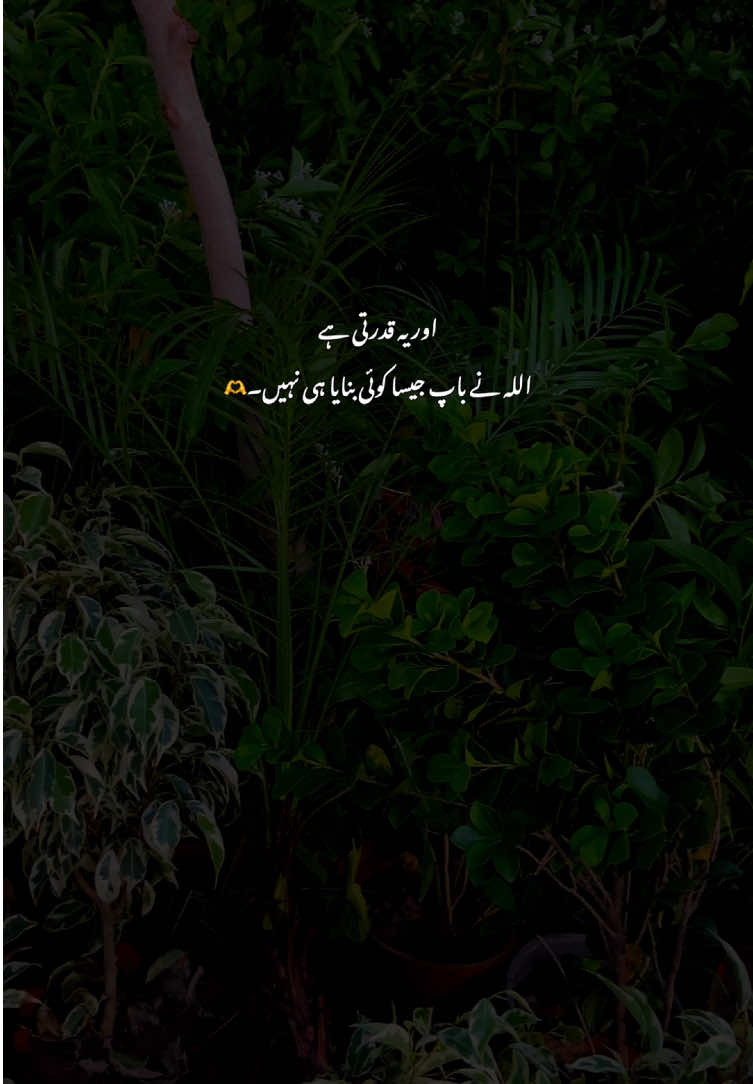Beshak🫶🥹#grow #fyp #poetry #viralvideos #aestheticvideos 