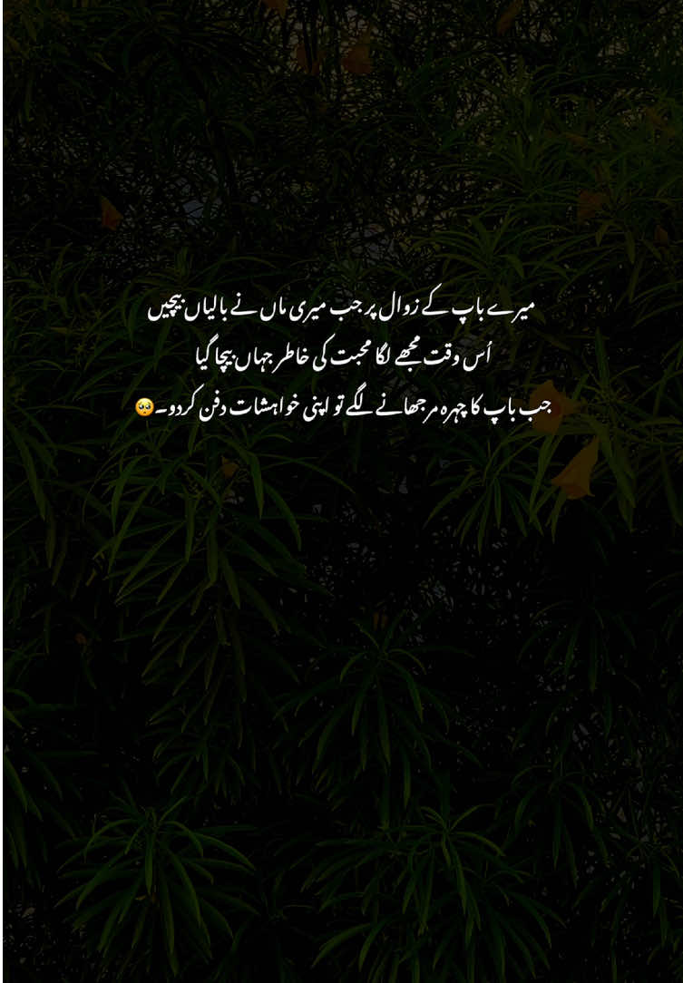 🥺💔#grow #fyp #poetry #viralvideos #aestheticvideos 