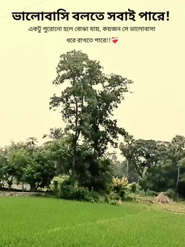 ভালোবাসি বলতে সবাই পারে! একটু পুরোনো হলে বোঝা যায়, কয়জন সে ভালোবাসা ধরে রাখতে পারে!!❤️‍🩹 #fyppppppppppppppppppppppp #capcut #fyp #viraltiktok #foryoupage 