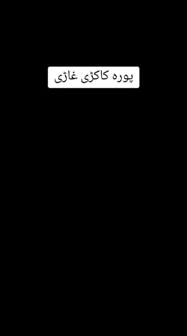#پشتون_تاجیک_هزارہ_ازبک_زندہ_باد🇦🇫 