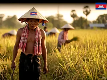 ចូលរួមលើកកម្ពស់កសិករកម្ពុជា #creatorsearchinsights ##viral #tiktokviral #viraltiktok #hastag 
