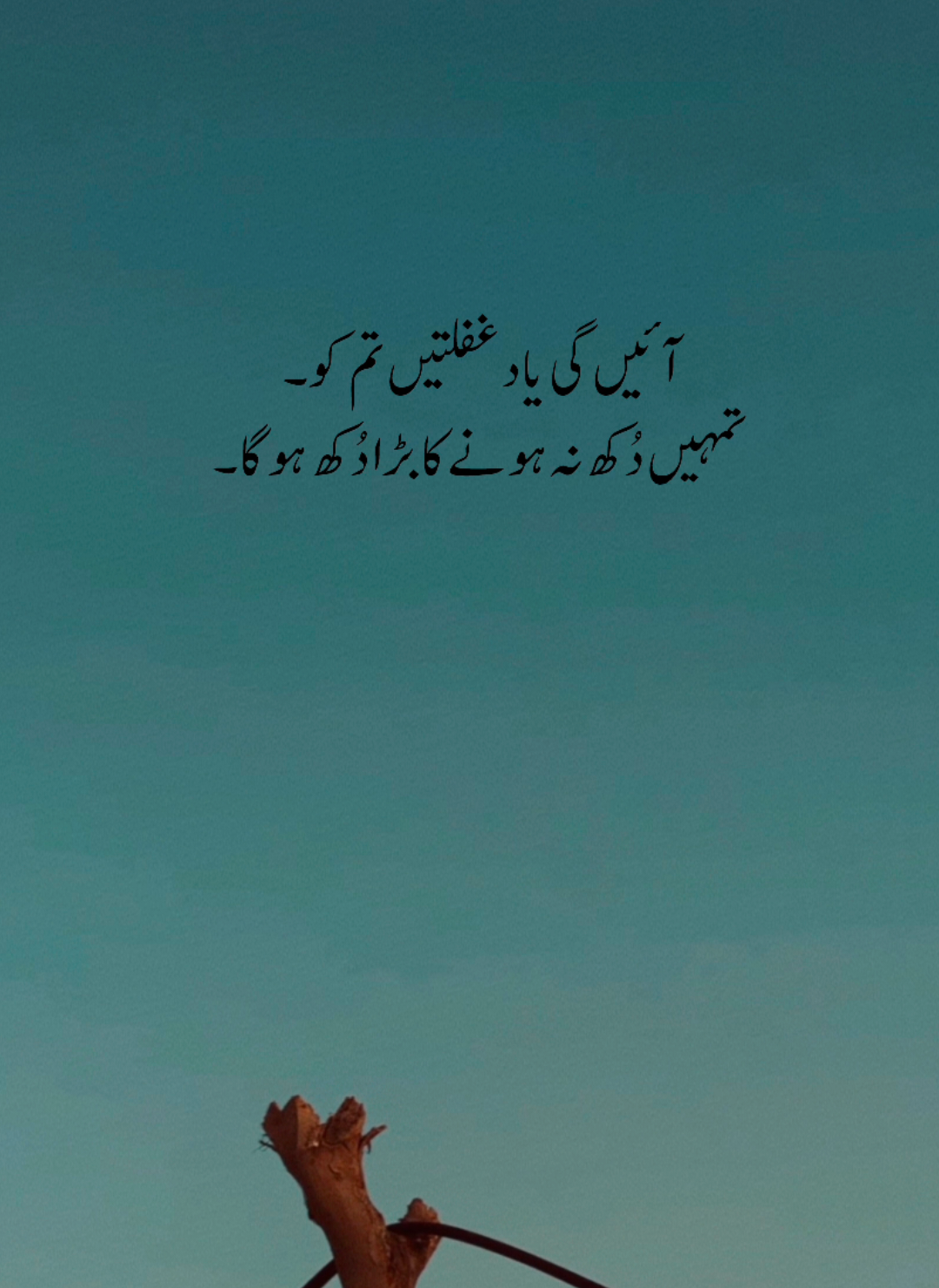 آئیں گی یاد غفلتیں تم کو تمہیں دُکھ نہ ہونے کا بڑا دُکھ ہو گا..! #just_zarii05 #foryoupage #foryoupage #plzunfrezemyaccount #plzdontunderviewsmyvedios 