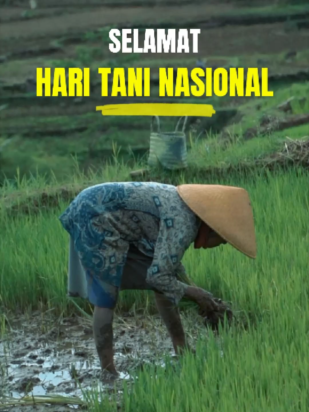 Selamat Hari Tani Nasional. #desabulakan #petani #haritani #farming