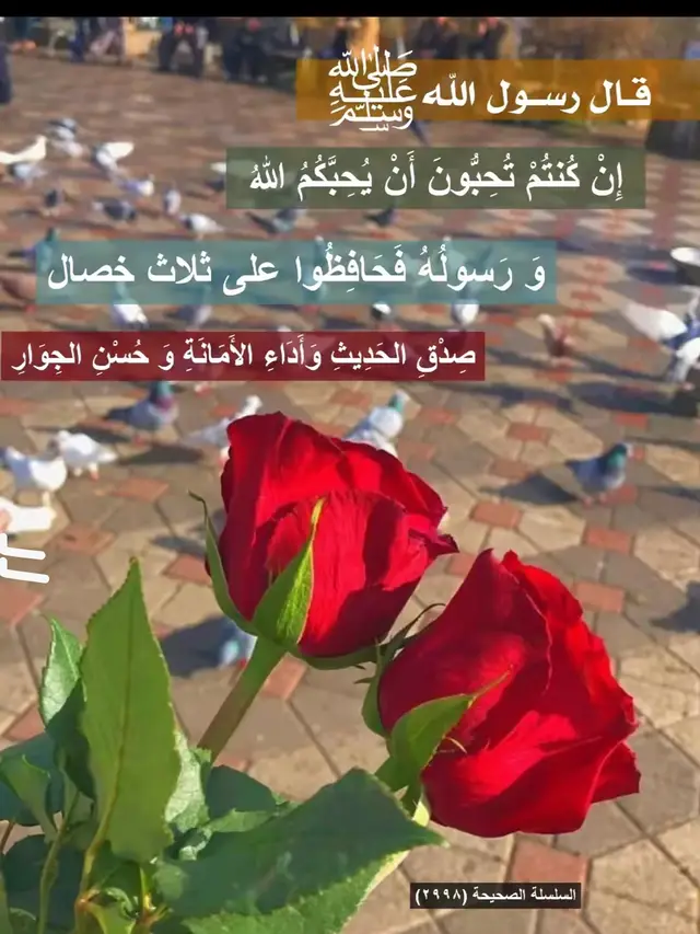 #التوحيد #اعادة_النشر🔃 #تصميم_فيديوهات🎶🎤🎬 #capcut 
