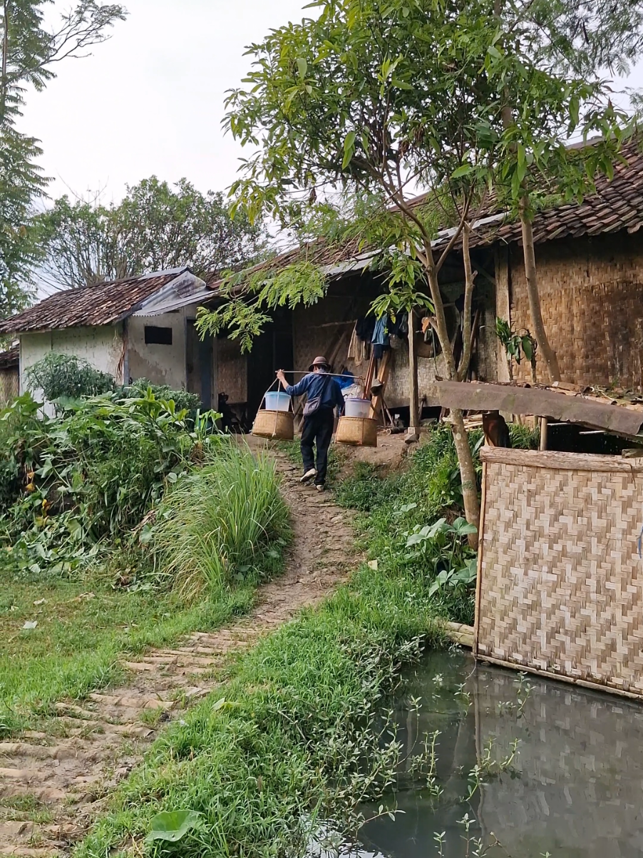 Perkampungan di tengah hutan yang bikin betah  #pelosokcianjur #perkampungan #reels #fypage 