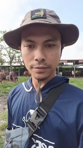 Ke Pasar Hewan beli sapi #sapi #pasarhewan 