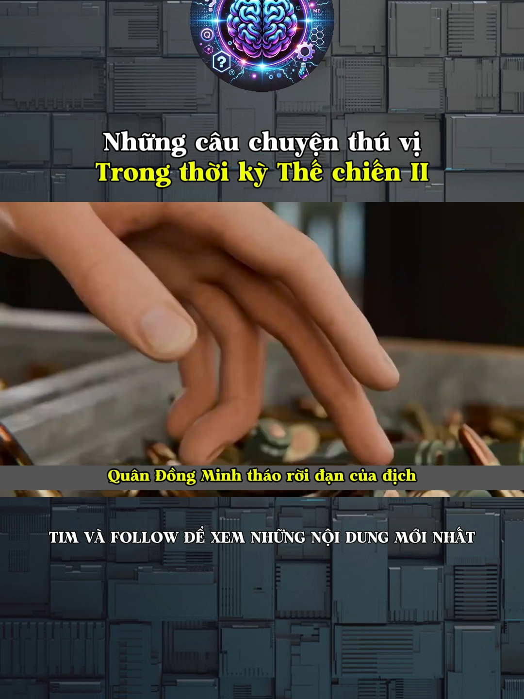 Những câu chuyện thú vị trong thời kỳ Thế chiến II#LearnOnTikTok #kienthuc #khoahoc #kienthucthuvi #khampha #doisong