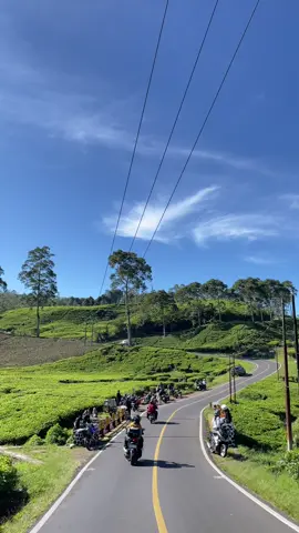 Ciwidey 🫶🏻#ciwidey #ciwideybandung #bandung #fyp 
