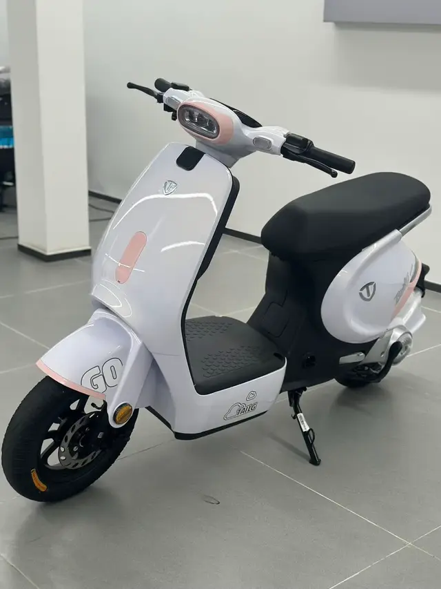 TAILG GR56  Động cơ 500w  Tốc độ 45km/h  Quãng đường di chuyển 80km  💰14.500.000 Bảo hành chính hãng 2 năm  Hỗ trợ trả góp lãi suất ưu đãi #Tailg #XeDienTailg #XeDienChoHocSinh #TailgVietNam 