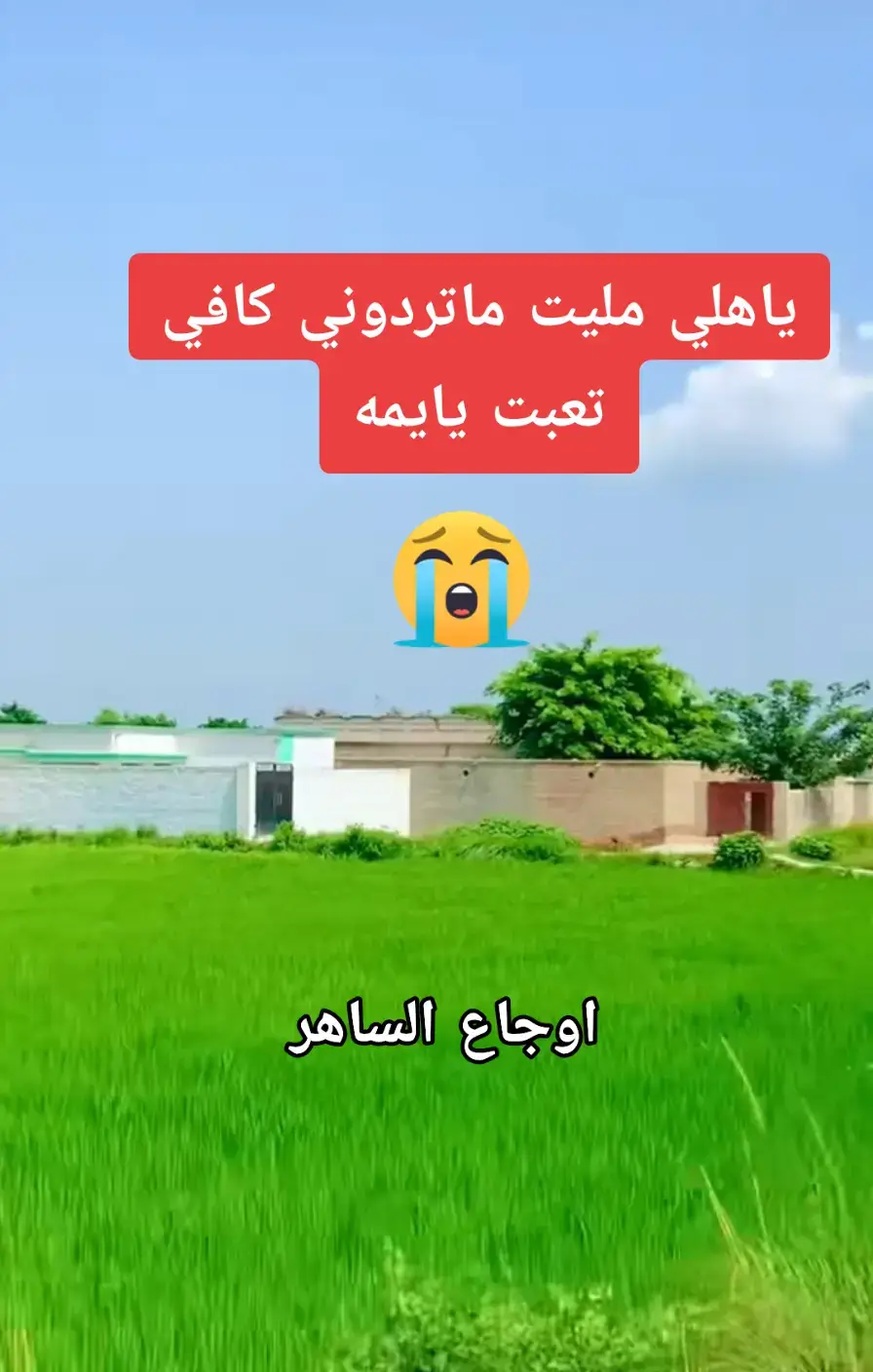 #الفاگد_عزيز  #اوجاع_لاتنتهي_واحلام_لن_تتحقق😴  #الحزن💔عنواني💔ــہہہــــــــــہہـ👈⚰️  #ونين_يقطع_نياط_القلب_بصوت_جنوبي_حزين  #الفاقد_عزيز_الله_يعينة  اااااااااااااااه يايمه