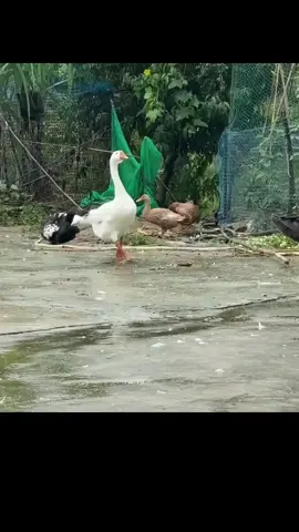😂😂😂😂😂😂