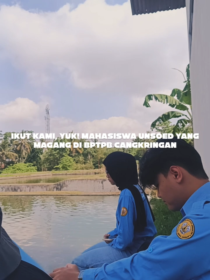 Kegiatan Harian Magang UKBAT Cangkringan  by Naufal (Magang Universitas Jenderal Soedirman) #fyp