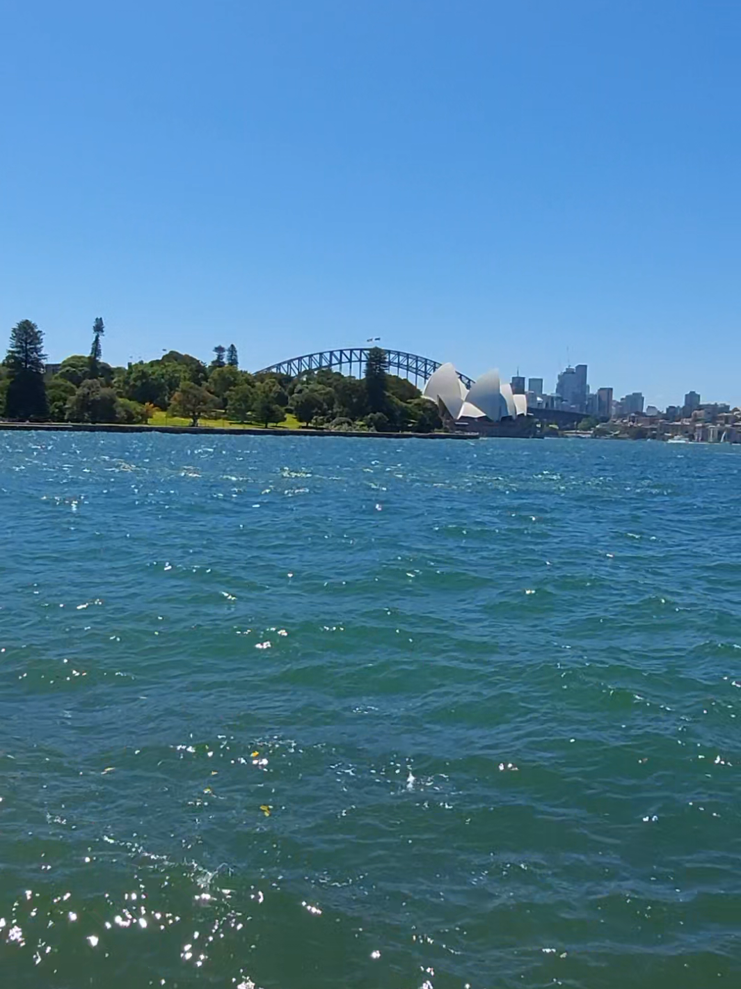 A day well spent📍Royal Botanic garden, Sydney #naturewithjoe #nature #harbourbridge #operahouse #sydney 