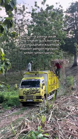 Saestu gusti😇 #fyp #justkonten #storytruk #bismillahfyp #lanangtenan 