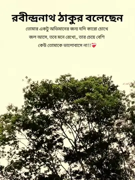 রবীন্দ্রনাথ ঠাকুর বলেছেন তোমার একটু অভিমানের জন্য যদি কারো চোখে জল আসে, তবে মনে রেখো,, তার চেয়ে বেশি কেউ তোমাকে ভালোবাসে না!!❤️‍🩹 #fyppppppppppppppppppppppp #capcut #fyp #foryoupage #viralvideo 