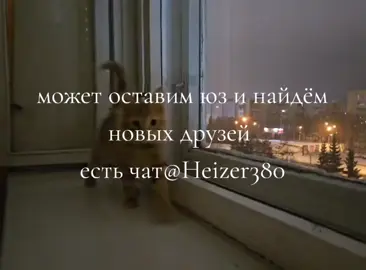 #рекомендации 