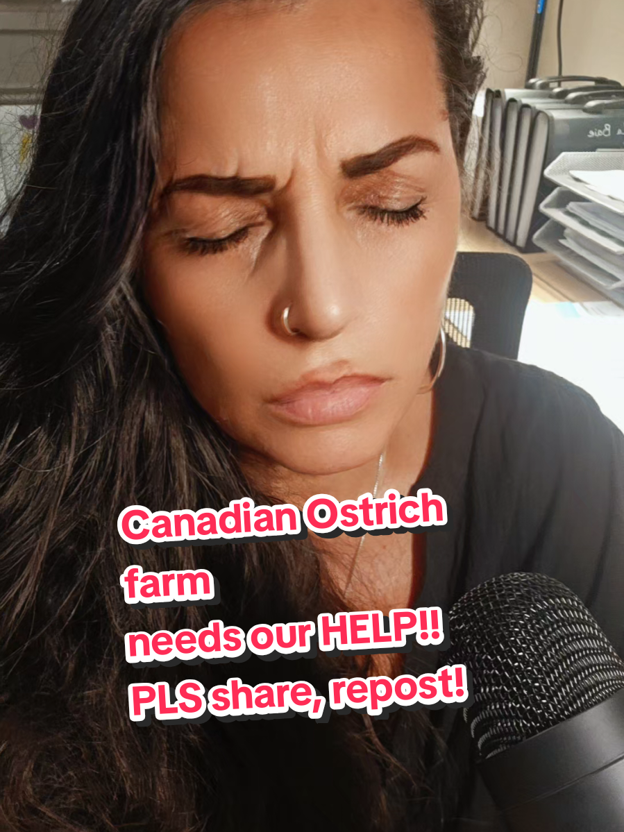 Call your MP, call your representative!  These ostriches are PETS, they have names! Please lets help save these Pets because they deserve to live! #ostrich #canada_life🇨🇦 #viral #fyp #tiktok 
