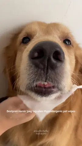 Tuwing tag-ulan, to the rescue ‘tong hypoallergenic pet wipes! 🌿💧 #Bokki #petwipes #dogessentials #wetwipes #purpawswipemeclean 