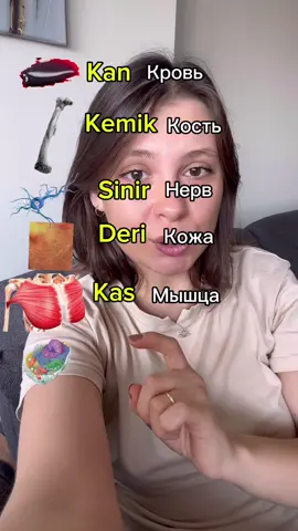 •	Kan — Кровь 	•	Kemik — Кость 	•	Sinir — Нерв 	•	Deri — Кожа 	•	Kas — Мышца 	•	Hücre — Клетка •	 . . #урокитурецкого  #турецкий  #турция  #турецкийязык  #турецкийонлайн               