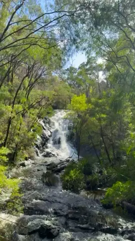 Only 40 minutes from our Farm Stay in Manjimup WA 🌿 #waterfall #nature #aesthetic #westernaustralia #wa 