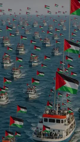 Ya Allah selamatkanlah dan lindungilah Palestine  #islam #palestine #palestineفلسطين #nusantara #global @sumudnusantaraofficial 