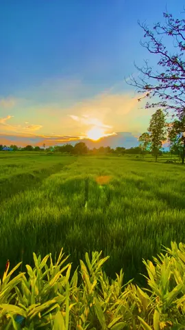 ถอยมาไกลล.. #รับโปรโมทเพลง #วิวบ้านนอก🍃 #ท้องฟ้า⛅🌈 