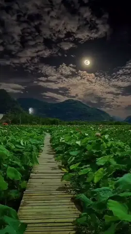 #হুম 😌😌