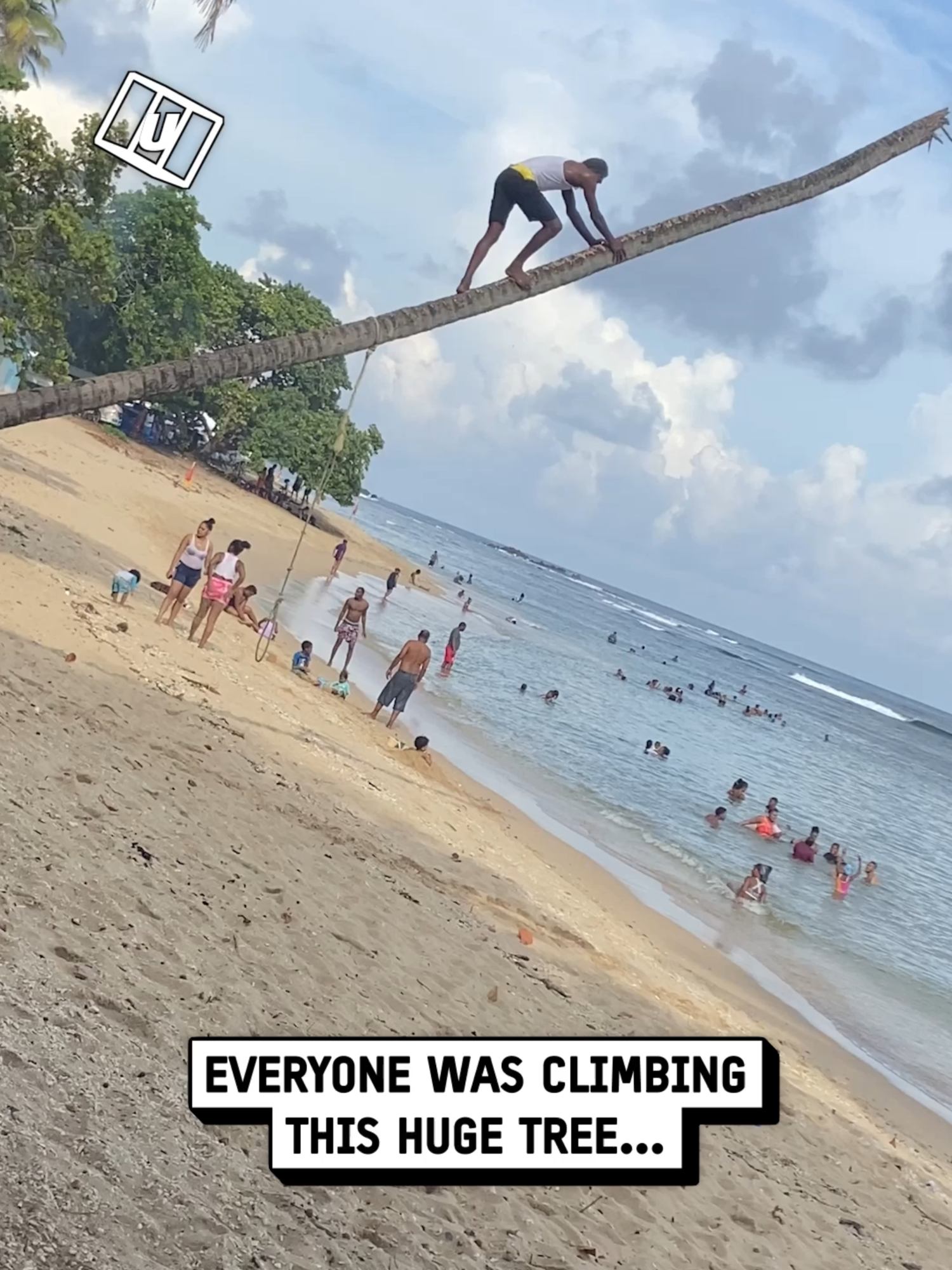 He's okay!! 🌴😂 🎥: Viralhog #UNILAD #unilad #climbing #tree #OhNo #funnyy #fails