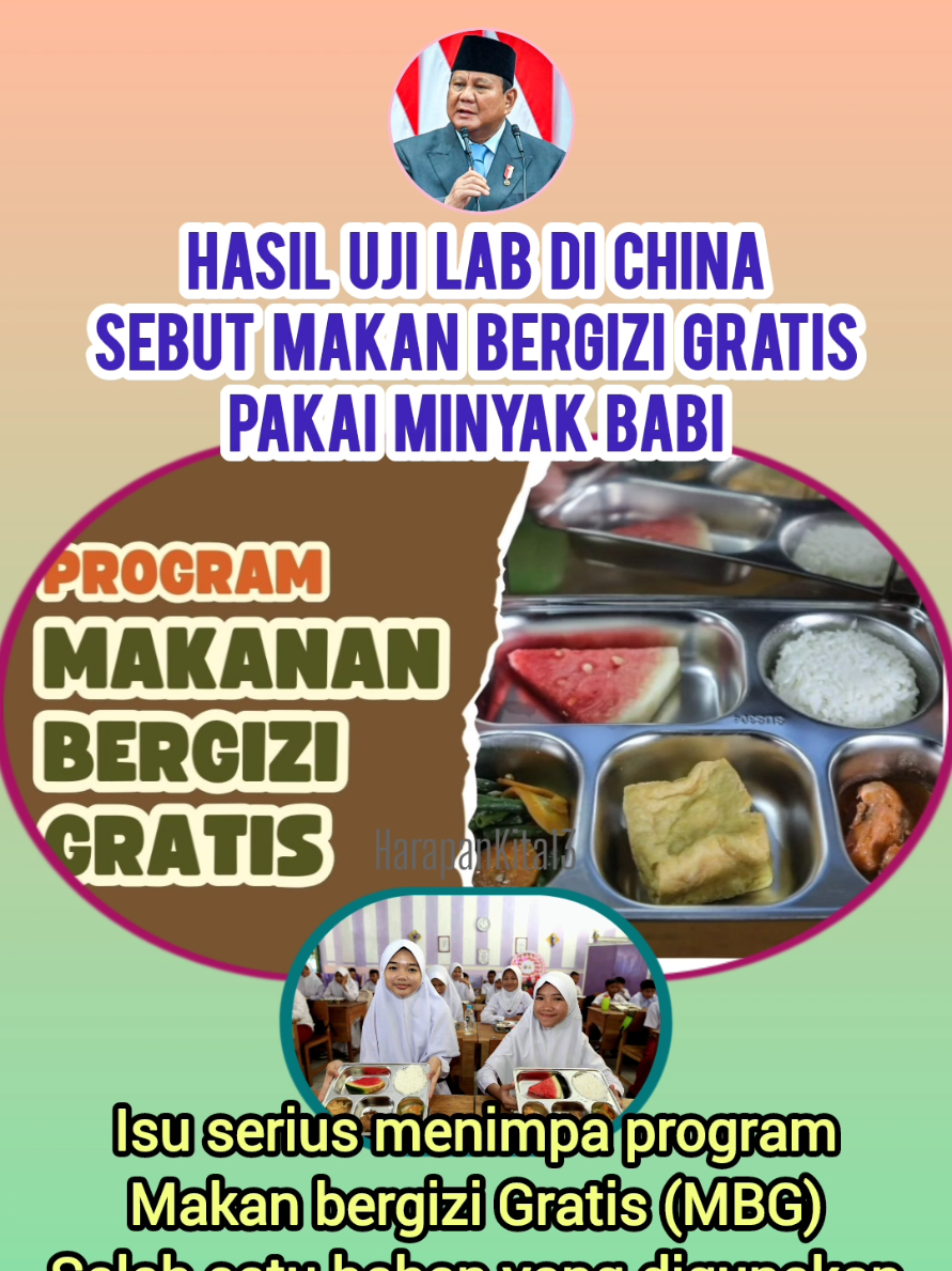 #mbg #babi #makanbergizigratis #prabowo #indonesia🇮🇩 