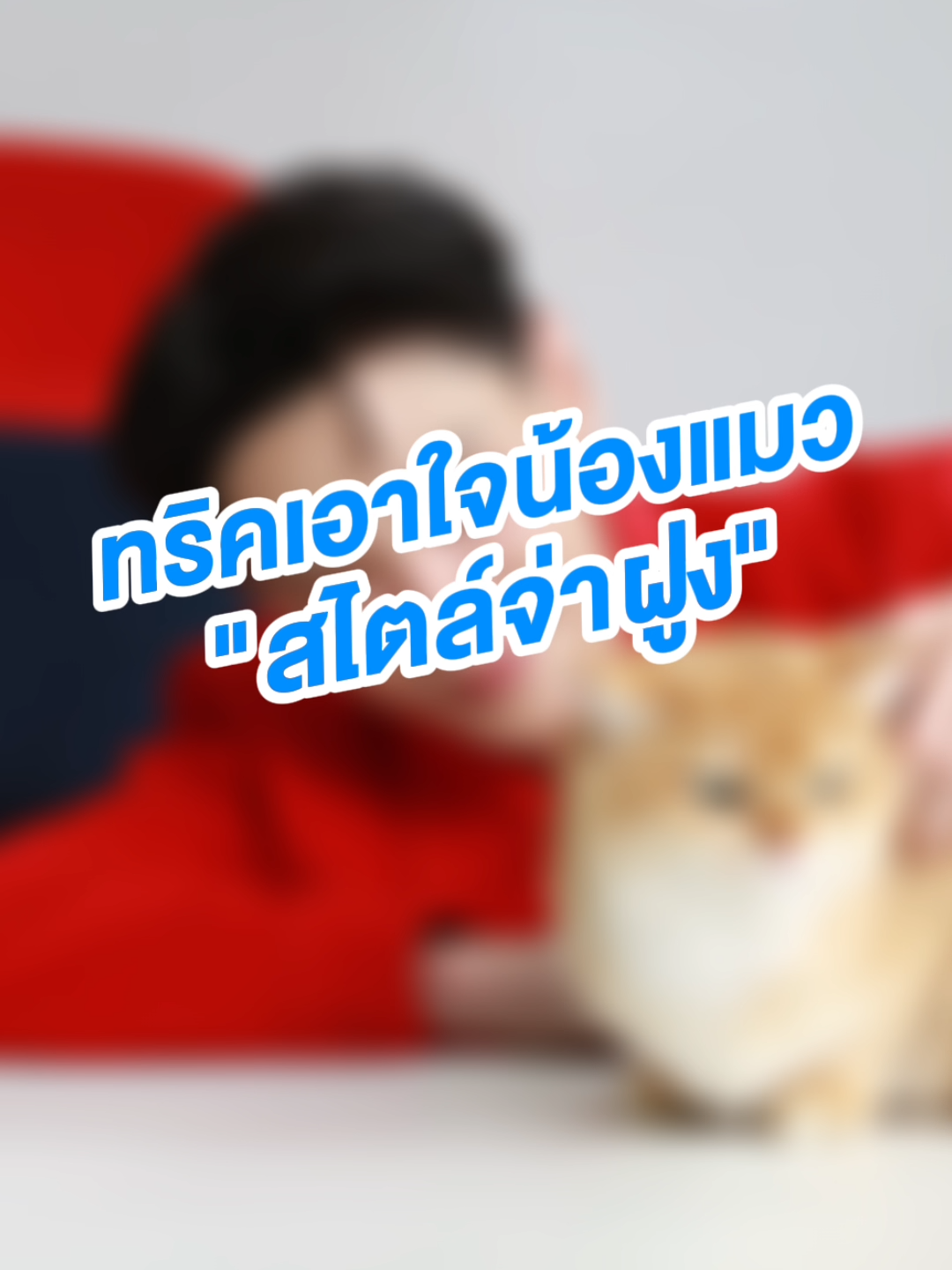 จ่าฝูง เอาใจใส่ ดูแลน้องเหมียวดีขนาดนี้ 🐱 น้องเหมียวตัวไหน ก็ต้องเปลี่ยนมากิน CAT n joy แล้ว #CATnjoyxDAOU #ให้ทุกมื้อคือการปกป้อง​ #3พลังเสริมภูมิคุ้มกัน #ต้าห์อู๋จ่าฝูงแมว #EveryMealIsAShield​ #อาหารแมว​