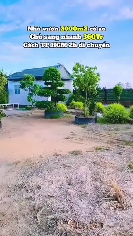 🔥 Đầu tư đất vườn cực HOT! 🏡 2000m² có ao – giá chỉ 360tr 🚗 2h từ TP.HCM – nghỉ dưỡng hoặc làm homestay đều hợp 💯 Giá rẻ bất ngờ – liên hệ ngay kẻo lỡ!#nhavuon #xuhuongtiktok #fyp #bấtđộngsản #datgiare 