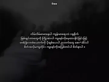 ဒီစကားတေ နောက်ဆုံးပါပဲ ... #foryoupage #lriycsvideo #fypシ #xyzbca #fypシ 