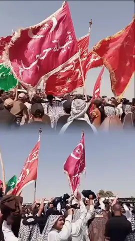 #الشيخ #عمران #عيسى #الحجامي #رئيس#عشيرة #حجام #البوعلوان #عشائر #حجام #بغداد 