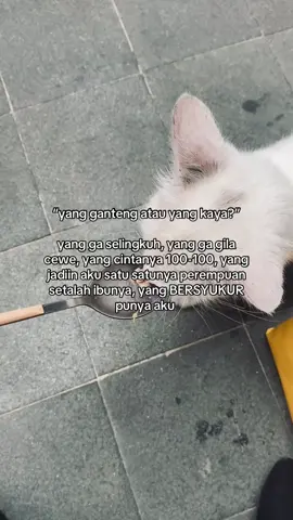 #katakata 