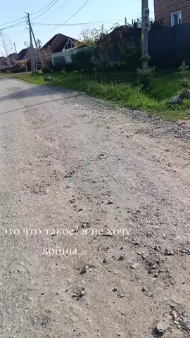 пздц