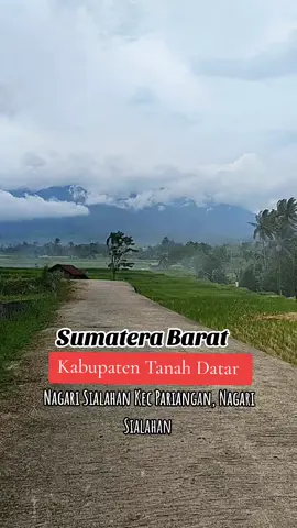 indahnya pemandangan Alam Sumatera Barat ku tercinta 🥰 #sawah #alamsumaterabarat #pemananganalamsumaterabarat #sialahan #jorongsialahan 
