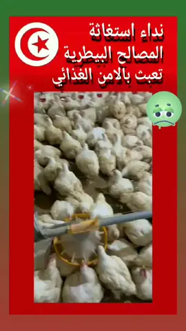 لوبي فساد في وزارة الفلاحة التونسية يتلاعب بالامن الغذائي للشعب #سفساريك وباب عليوة # الفلاحة في تونس #تونس مطمورة روعة